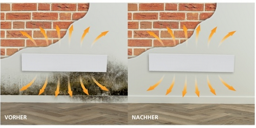 Schluss mit Schimmel